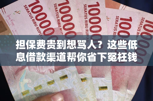 济南担保费贵到想骂人？这些低息借款渠道帮你省下冤枉钱