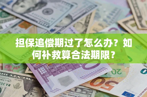 济南担保追偿期过了怎么办？如何补救算合法期限？