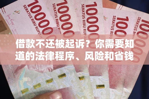 济南借款不还被起诉？你需要知道的法律程序、风险和省钱技巧
